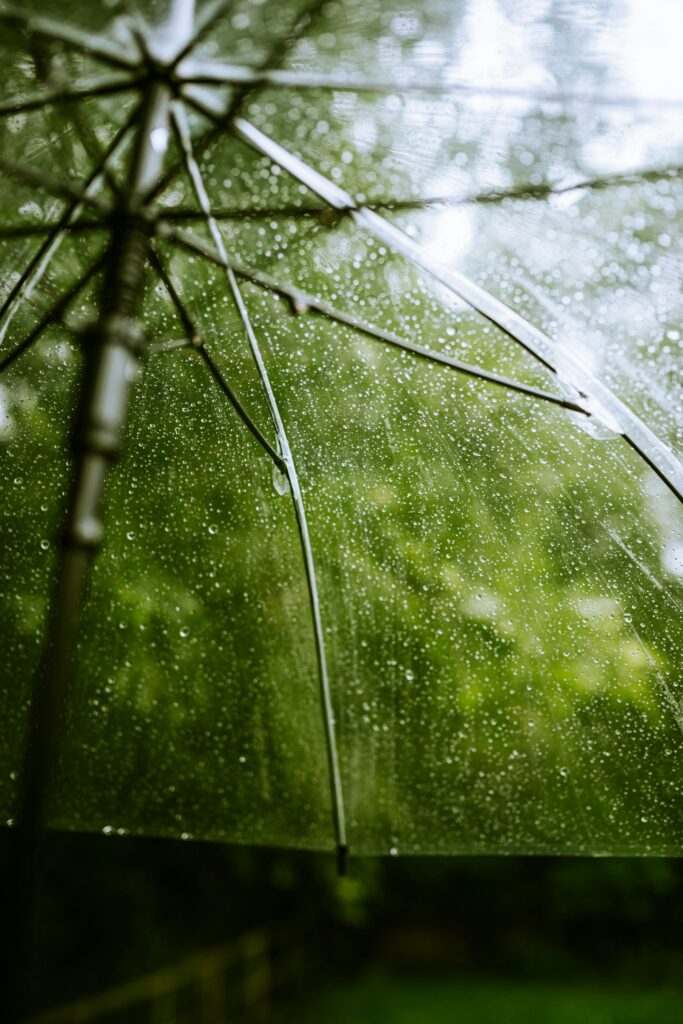Parapluie transparent